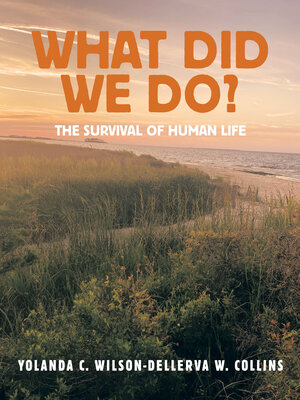 cover image of What Did We Do?